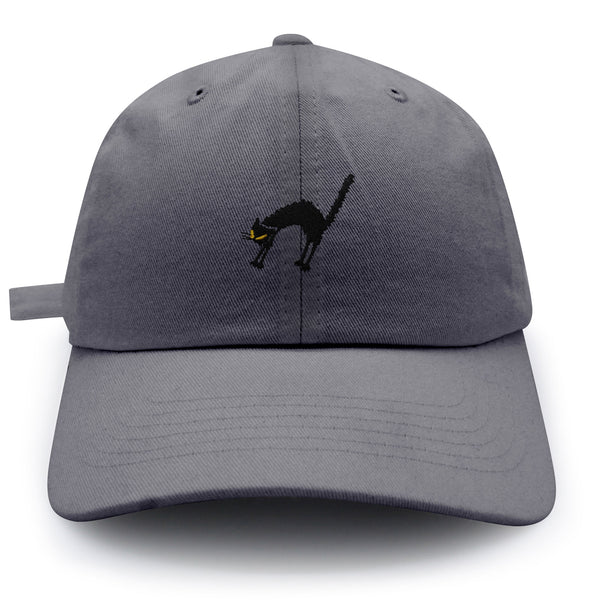 Scared Cat Dad Hat Embroidered Baseball Cap Black Cat