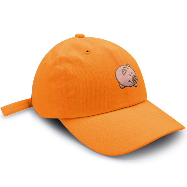 Piggy Bank Dad Hat Embroidered Baseball Cap Coin