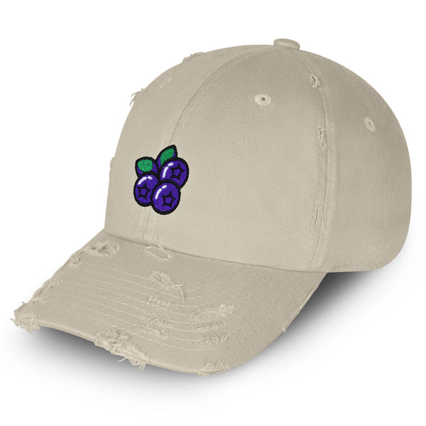 Blueberry Vintage Dad Hat Frayed Embroidered Cap Fruit