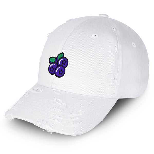 Blueberry Vintage Dad Hat Frayed Embroidered Cap Fruit