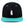 Load image into Gallery viewer, Penguine Snapback Hat Embroidered Hip-Hop Baseball Cap South Pole
