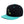 Load image into Gallery viewer, Apatosaurus Dinosaur Snapback Hat Embroidered Hip-Hop Baseball Cap  Kid Dino
