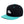 Load image into Gallery viewer, Polar Bear Snapback Hat Embroidered Hip-Hop Baseball Cap Southpole
