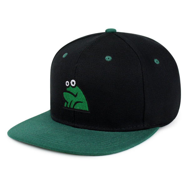 Frog Snapback Hat Embroidered Hip-Hop Baseball Cap Funny