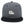 Load image into Gallery viewer, Polar Bear Snapback Hat Embroidered Hip-Hop Baseball Cap Southpole
