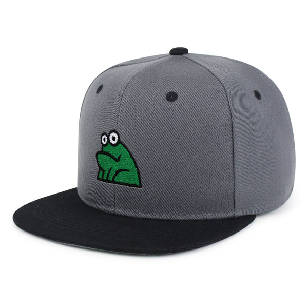 Frog Snapback Hat Embroidered Hip-Hop Baseball Cap Funny