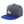 Load image into Gallery viewer, Polar Bear Snapback Hat Embroidered Hip-Hop Baseball Cap Southpole

