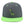 Load image into Gallery viewer, Apatosaurus Dinosaur Snapback Hat Embroidered Hip-Hop Baseball Cap  Kid Dino
