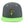Load image into Gallery viewer, Cactus Snapback Hat Embroidered Hip-Hop Baseball Cap Cowboy Mexican American
