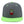 Load image into Gallery viewer, Radish Snapback Hat Embroidered Hip-Hop Baseball Cap Vegan Vegetable Farmer
