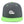 Load image into Gallery viewer, Polar Bear Snapback Hat Embroidered Hip-Hop Baseball Cap Southpole
