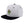 Load image into Gallery viewer, Cactus Snapback Hat Embroidered Hip-Hop Baseball Cap Cowboy Mexican American
