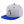 Load image into Gallery viewer, Penguine Snapback Hat Embroidered Hip-Hop Baseball Cap South Pole
