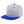 Load image into Gallery viewer, Polar Bear Snapback Hat Embroidered Hip-Hop Baseball Cap Southpole
