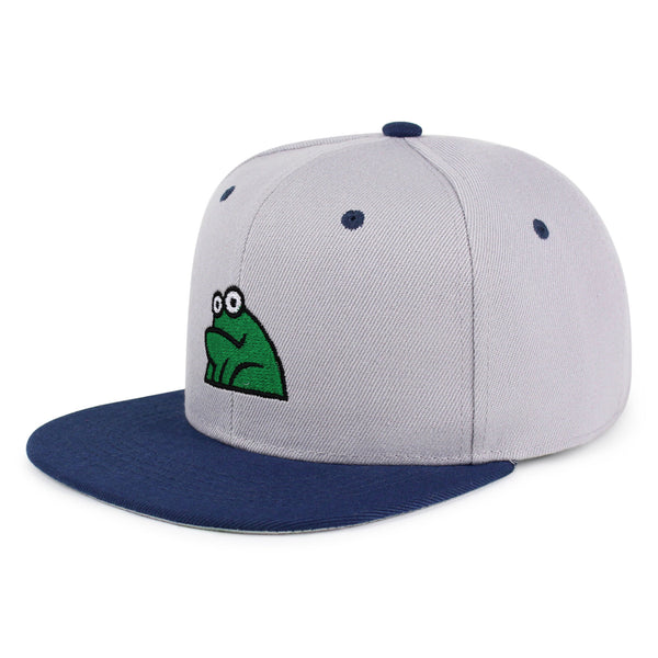 Frog Snapback Hat Embroidered Hip-Hop Baseball Cap Funny