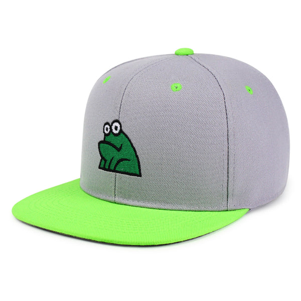 Frog Snapback Hat Embroidered Hip-Hop Baseball Cap Funny