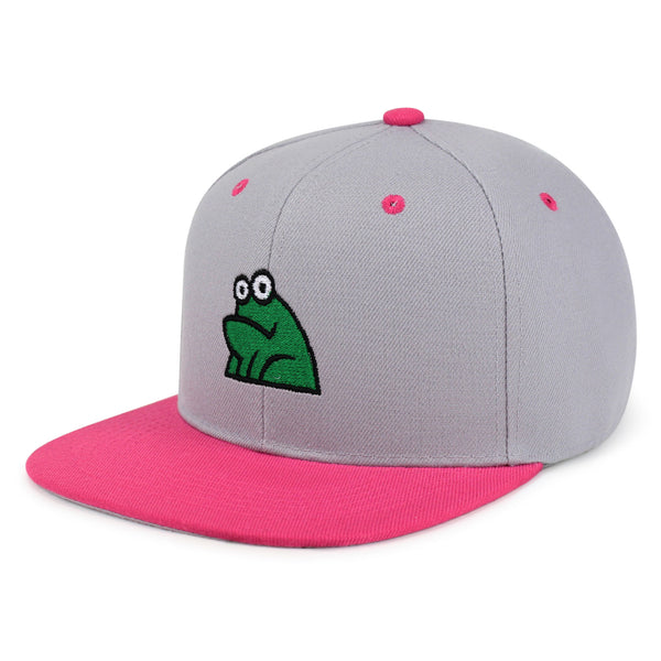 Frog Snapback Hat Embroidered Hip-Hop Baseball Cap Funny