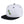 Load image into Gallery viewer, Apatosaurus Dinosaur Snapback Hat Embroidered Hip-Hop Baseball Cap  Kid Dino
