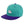 Load image into Gallery viewer, Polar Bear Snapback Hat Embroidered Hip-Hop Baseball Cap Southpole
