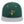 Load image into Gallery viewer, Cactus Snapback Hat Embroidered Hip-Hop Baseball Cap Cowboy Mexican American
